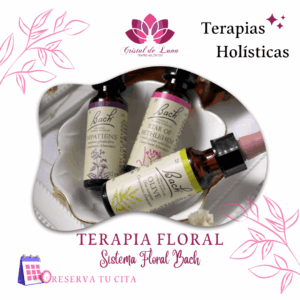 SESIÓN DE TERAPIA FLORAL SISTEMA BACH