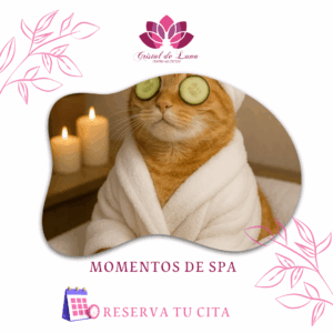 MOMENTO DE SPA INDIVIDUAL